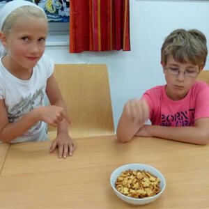 Lesenacht