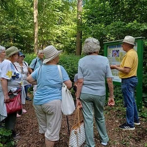 Bienen-Erlebnisweg