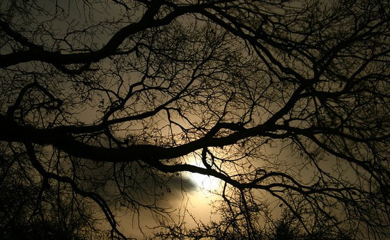 Nachtstimmung