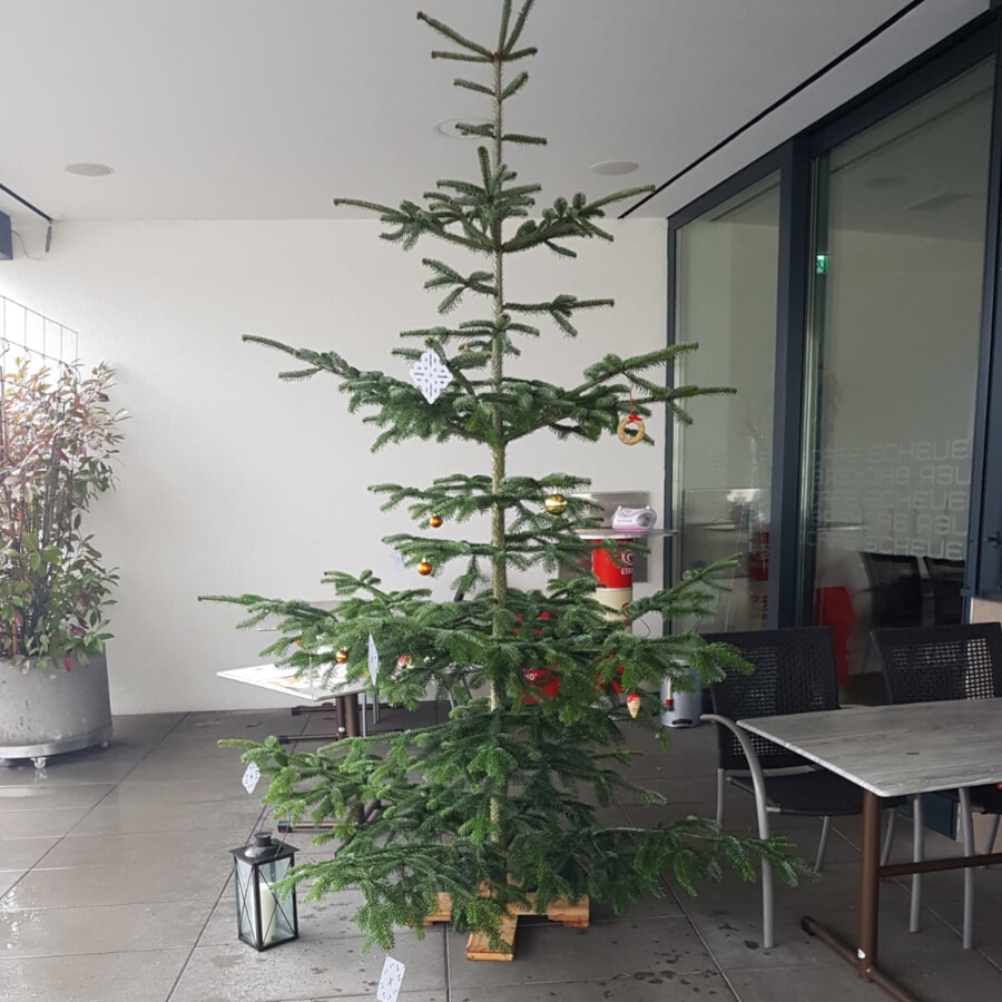 Weg zur Weihnacht