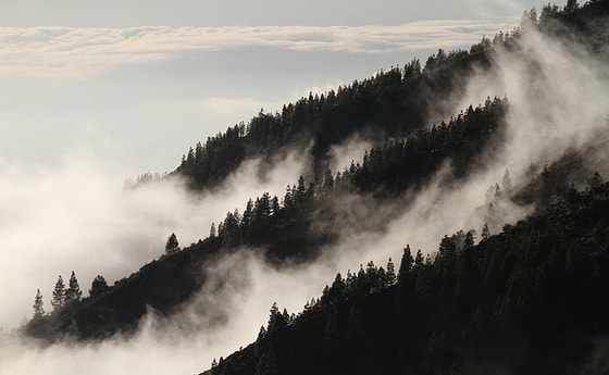 Nebel