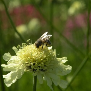 Ausflug