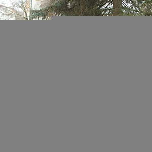 50. Feier Pfarrer Padinger